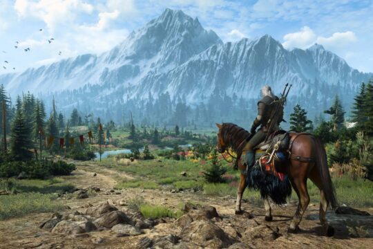 the witcher