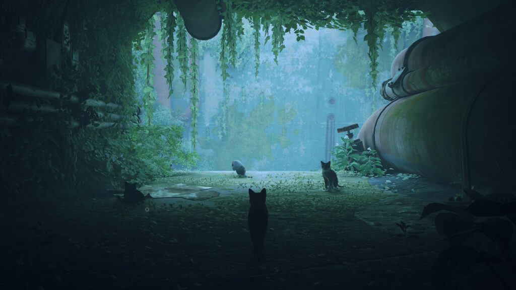 Stray