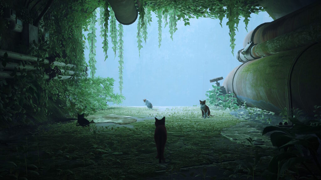 Stray