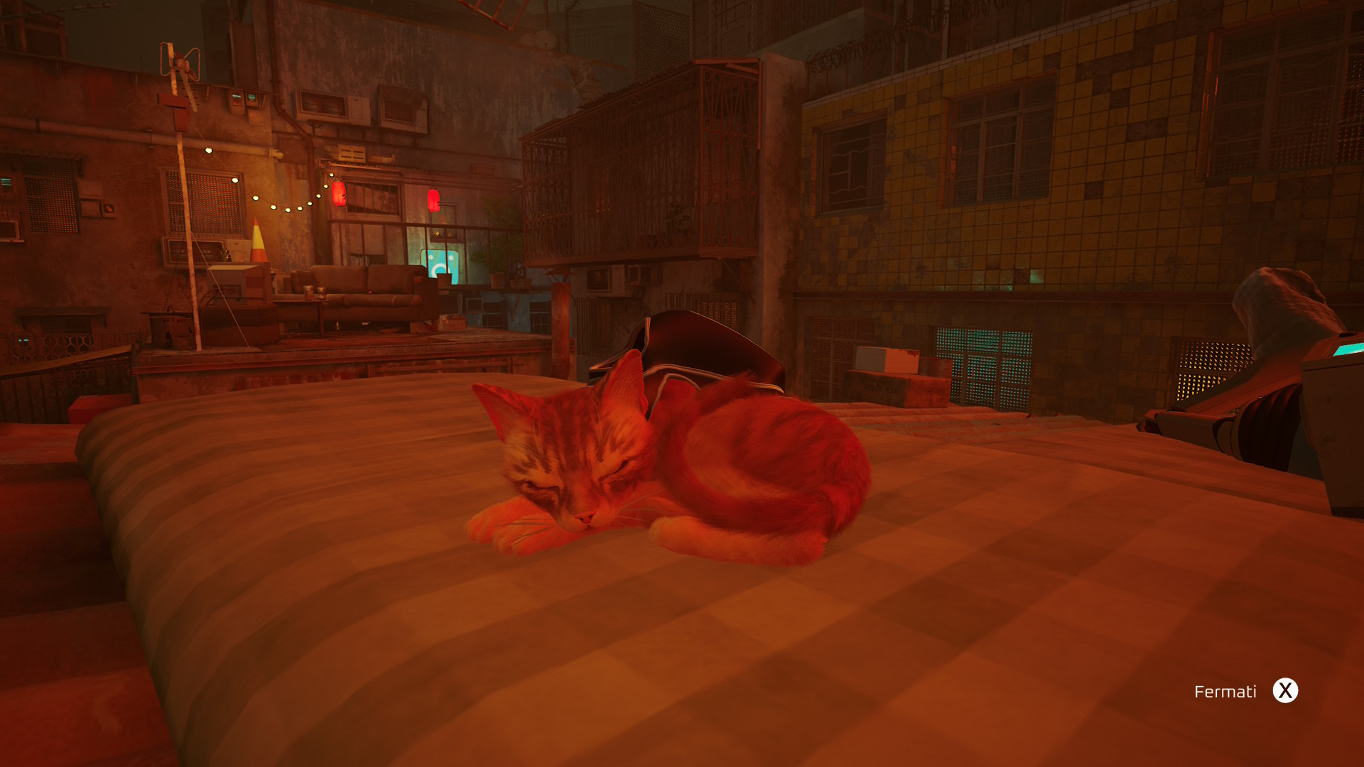 Stray