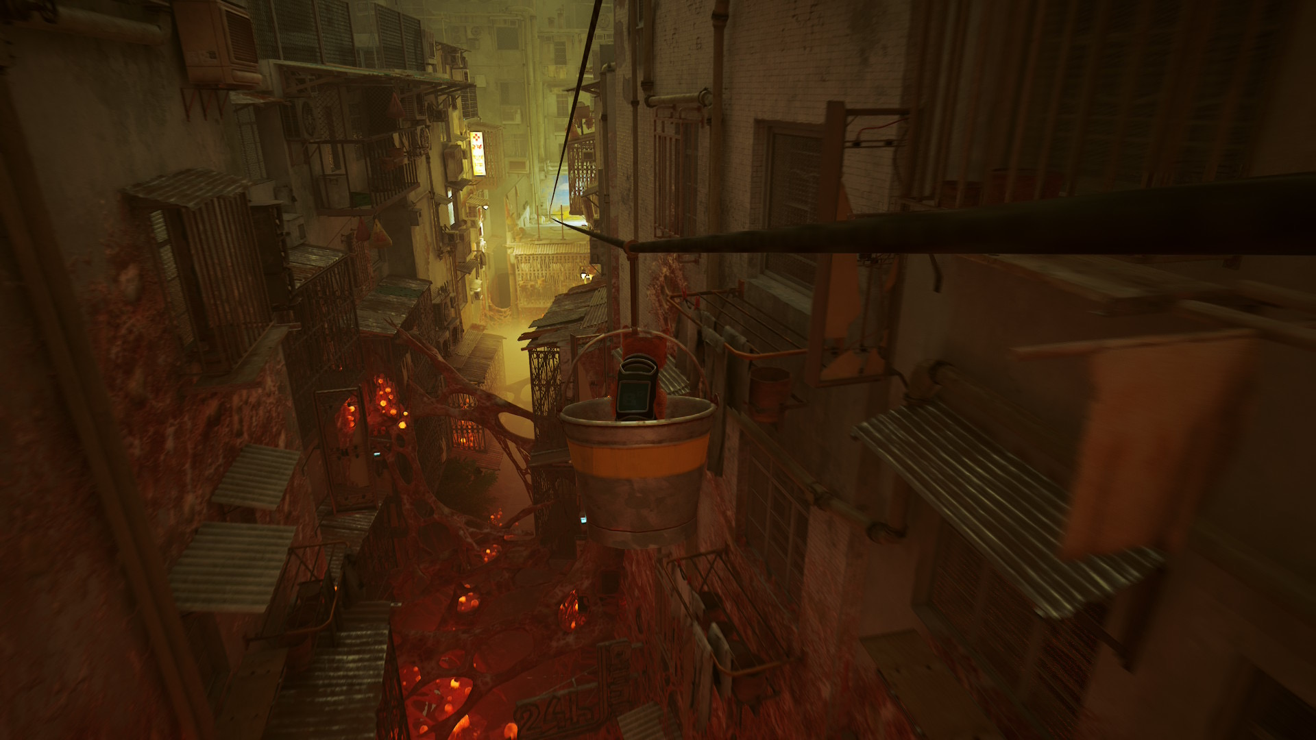 Stray